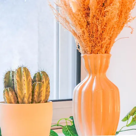 Boheme Cosy Centre Apartment *