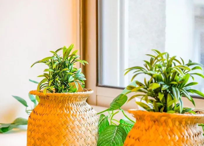 Boheme Cosy Centre * Dijon